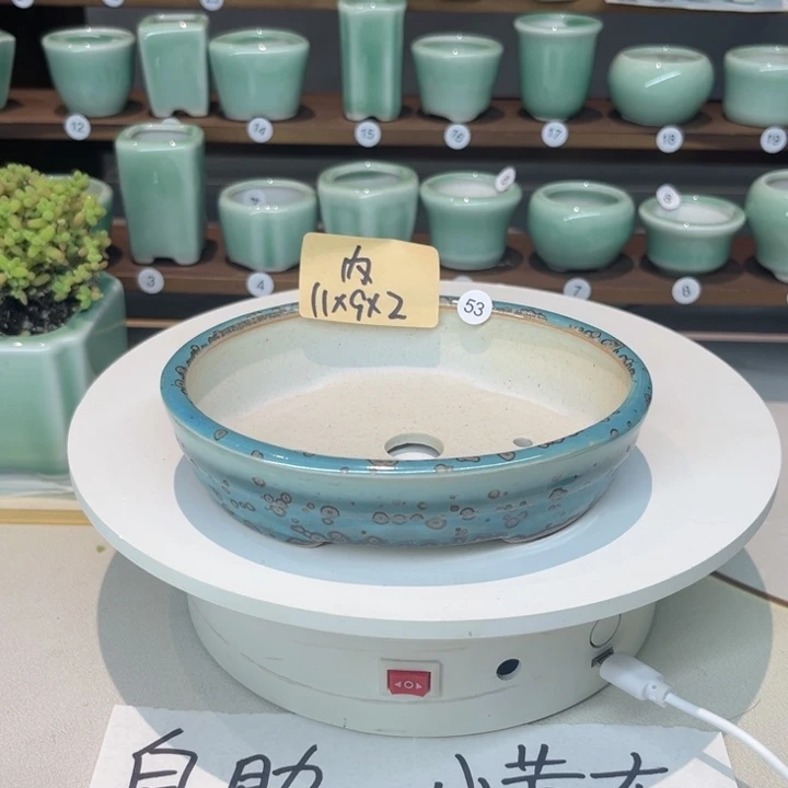 盆心缘小花盆（默认微瑕）