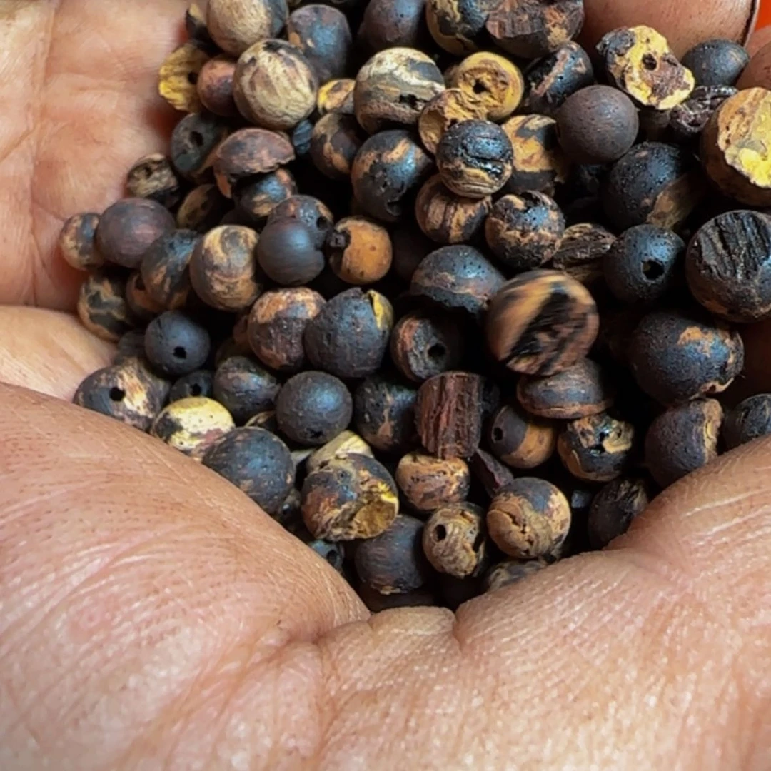 【闪购商品】降真香其他行***乙半斤黄金甲瑕疵珠