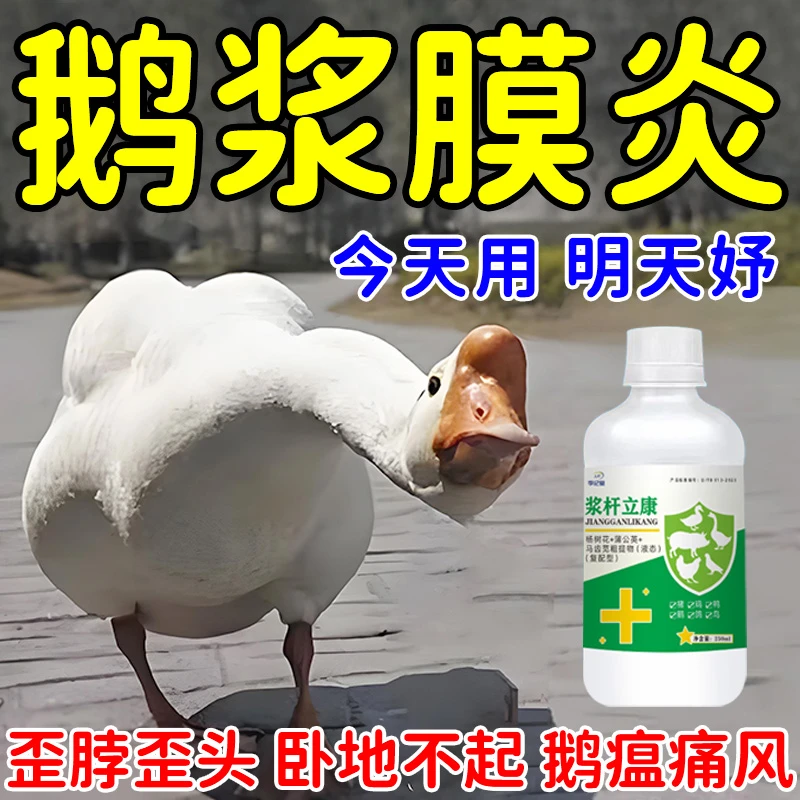 鹅病专用剂鹅痛风瘫痪鸡鸭鹅救命剂浆膜炎特效腿软剂流感歪头缩头