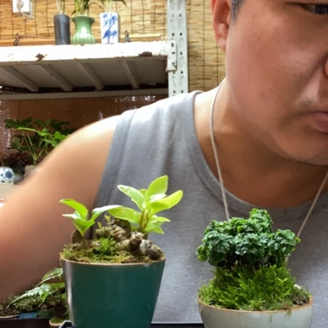 红陶一物一拍所见即所得18