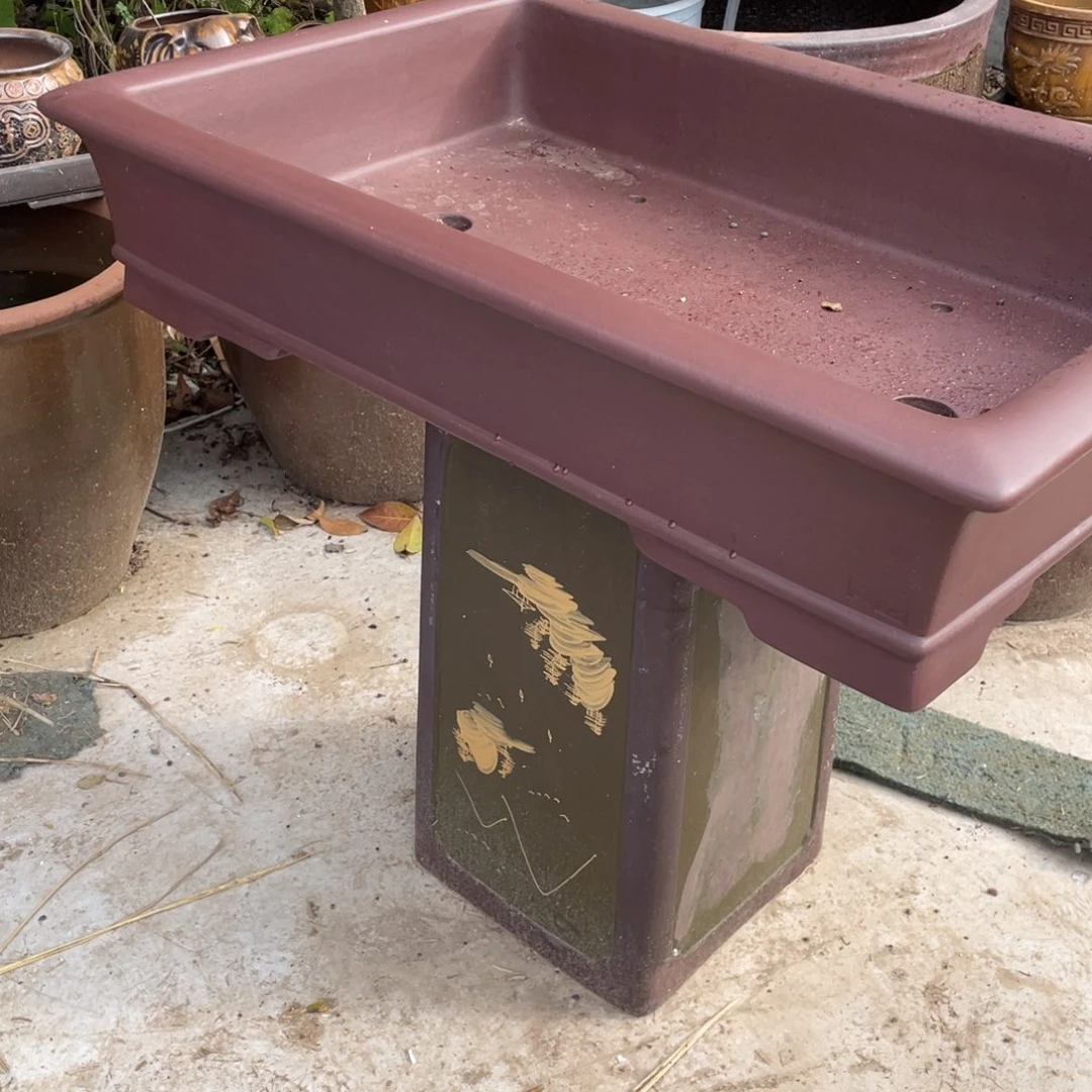 彩***园特价处理紫砂一只