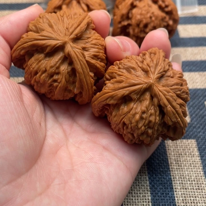 尚***号核桃白狮子43核桃