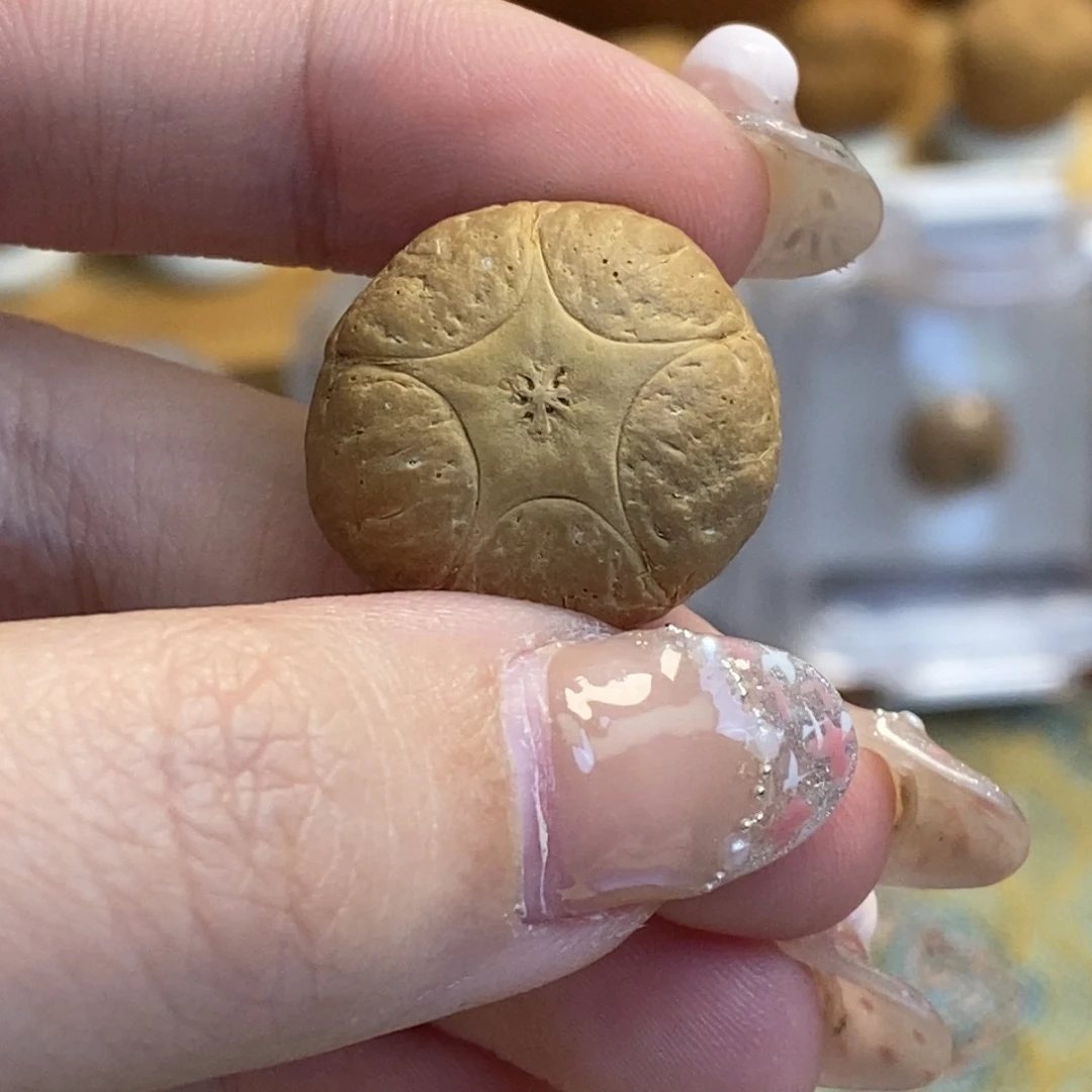 凤眼菩提吊坠五星