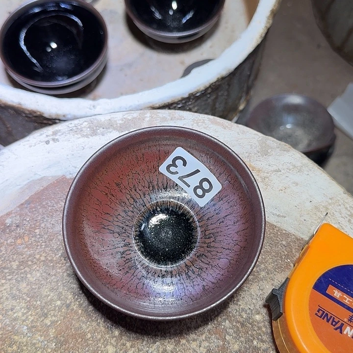 茶盏提出解决农村留守家庭住房