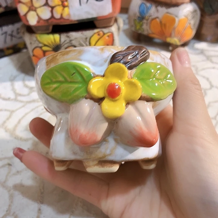 多肉花盆满15包邮