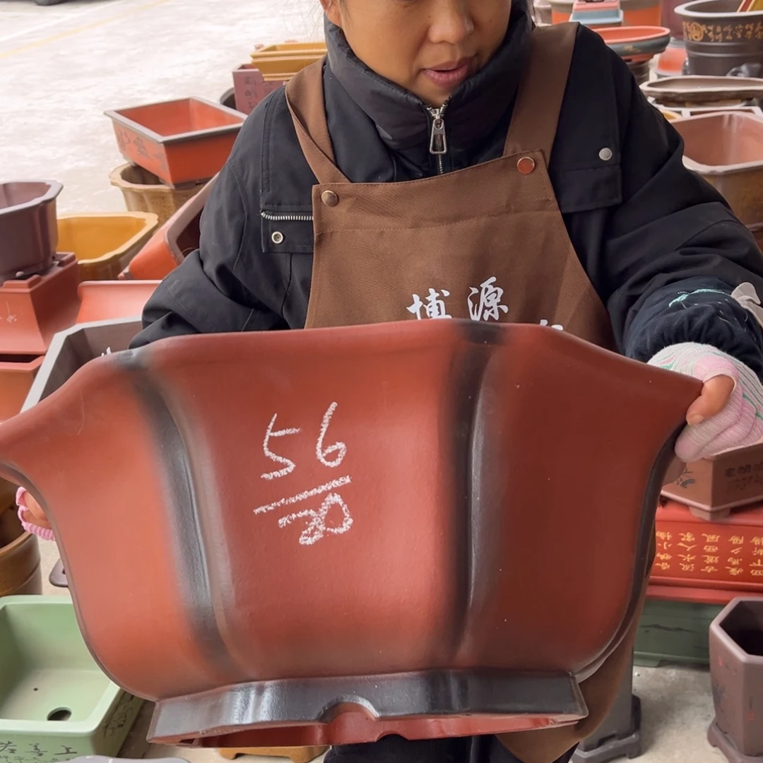 紫砂花盆盆景艺术