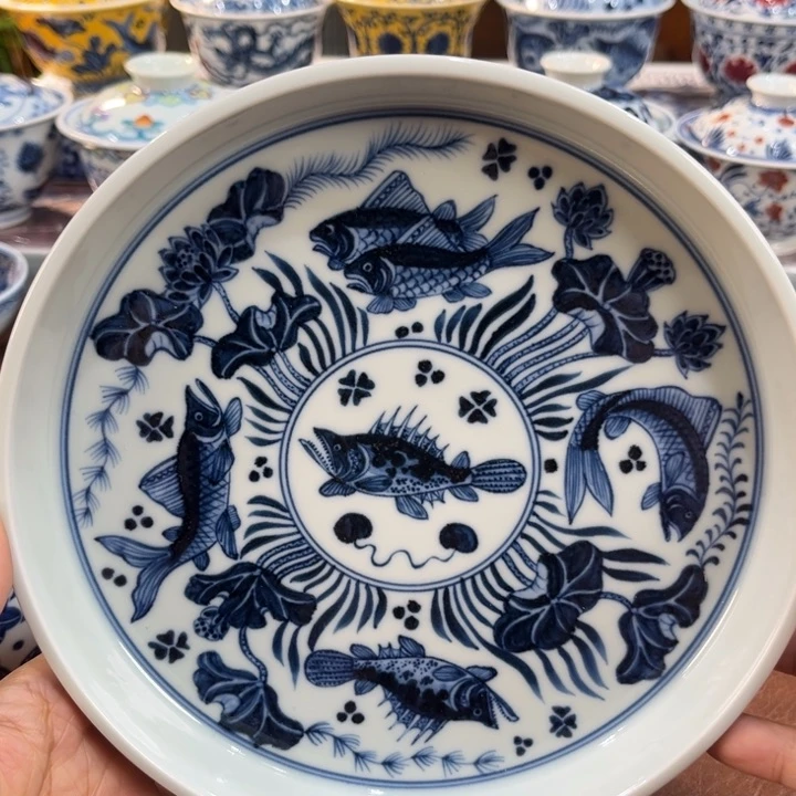 ………………………………………………………………