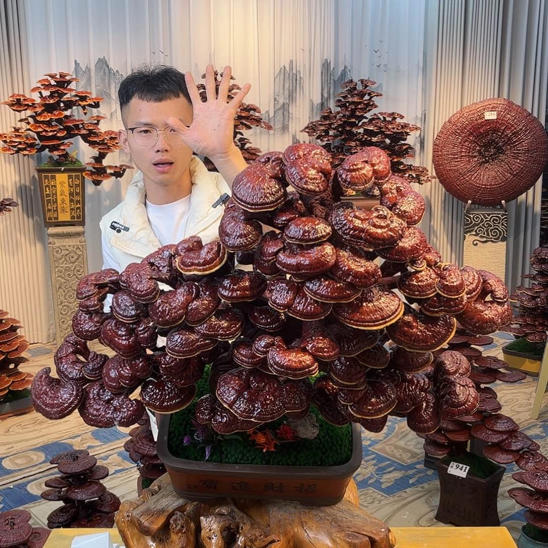 无花朵88888888888888