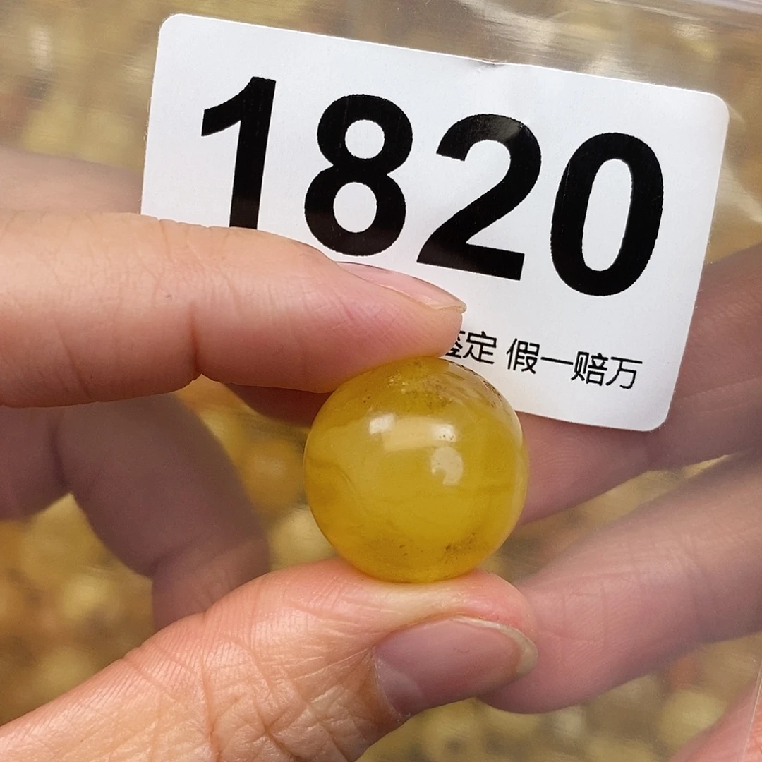 蜜蜡未镶嵌珠宝奇石19