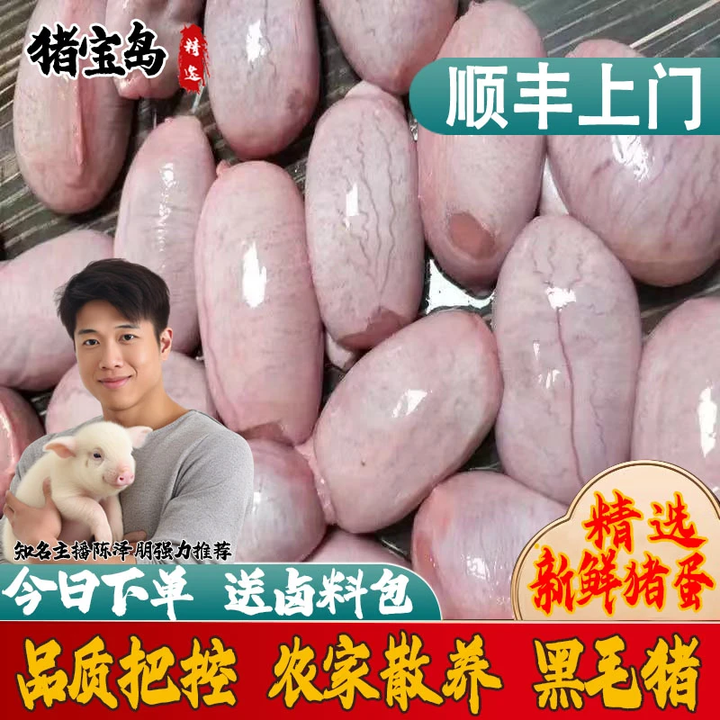 【顺丰包邮】特价猪宝新鲜猪蛋土猪猪蛋蛋猪睾丸猪外腰子送卤料包