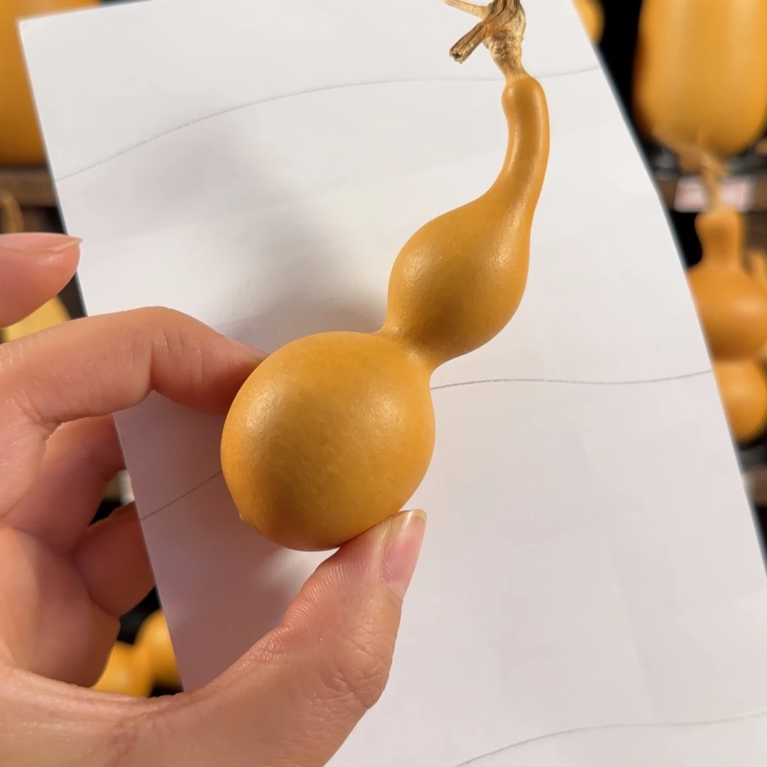 眨****我葫芦葫芦葫芦葫芦葫芦