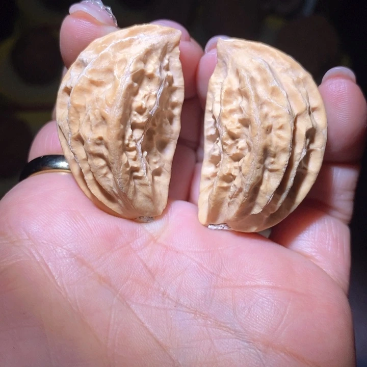 文玩核桃把件东北野生楸子小美1 6