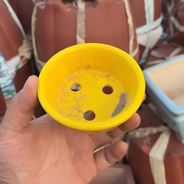 一定很喜欢的样子吧感觉都非常有魅力我会喜欢很好看呢这个视频就