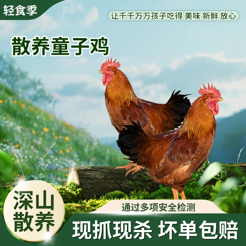 正宗皖南土鸡仔公鸡（童子鸡）现抓现杀农家散养公鸡 包冰率不含冰