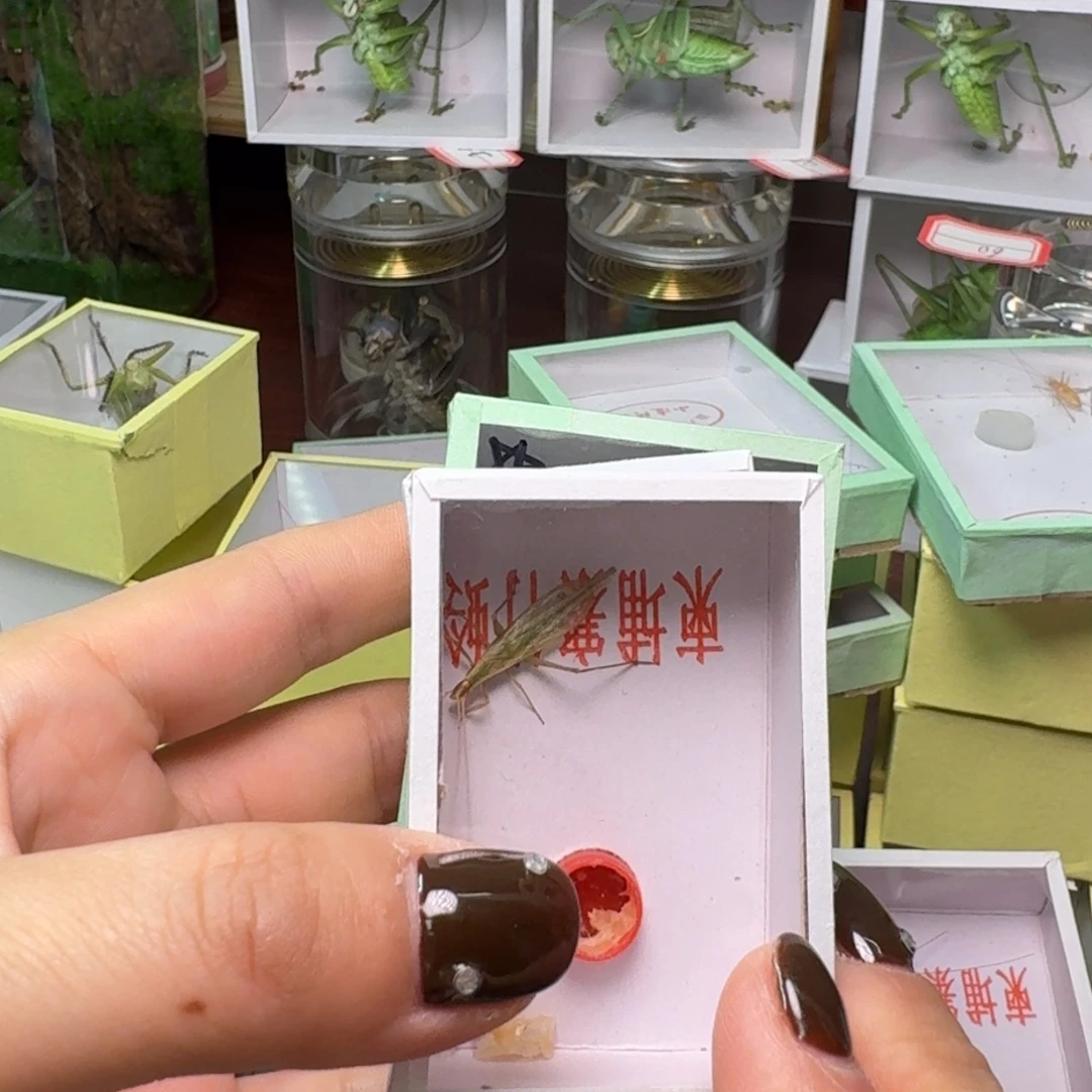 老***徐一条竹林一条黑一条大黄。