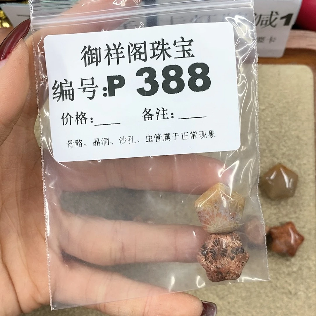 硅化珊瑚（珊瑚玉）P未镶嵌T***a