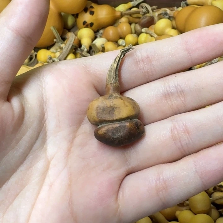 葫芦葫芦葫芦葫芦不包邮