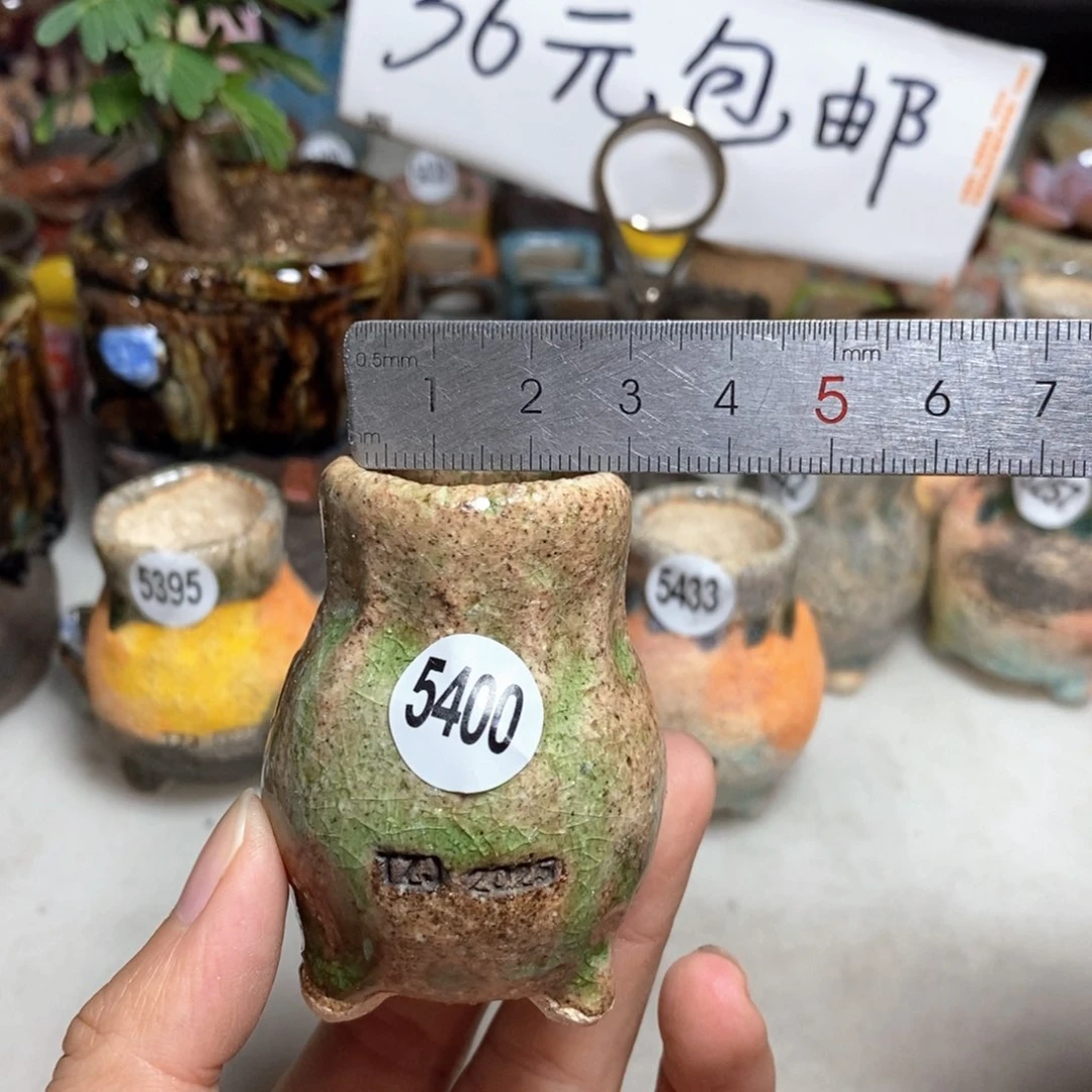 拍3送一个小礼物