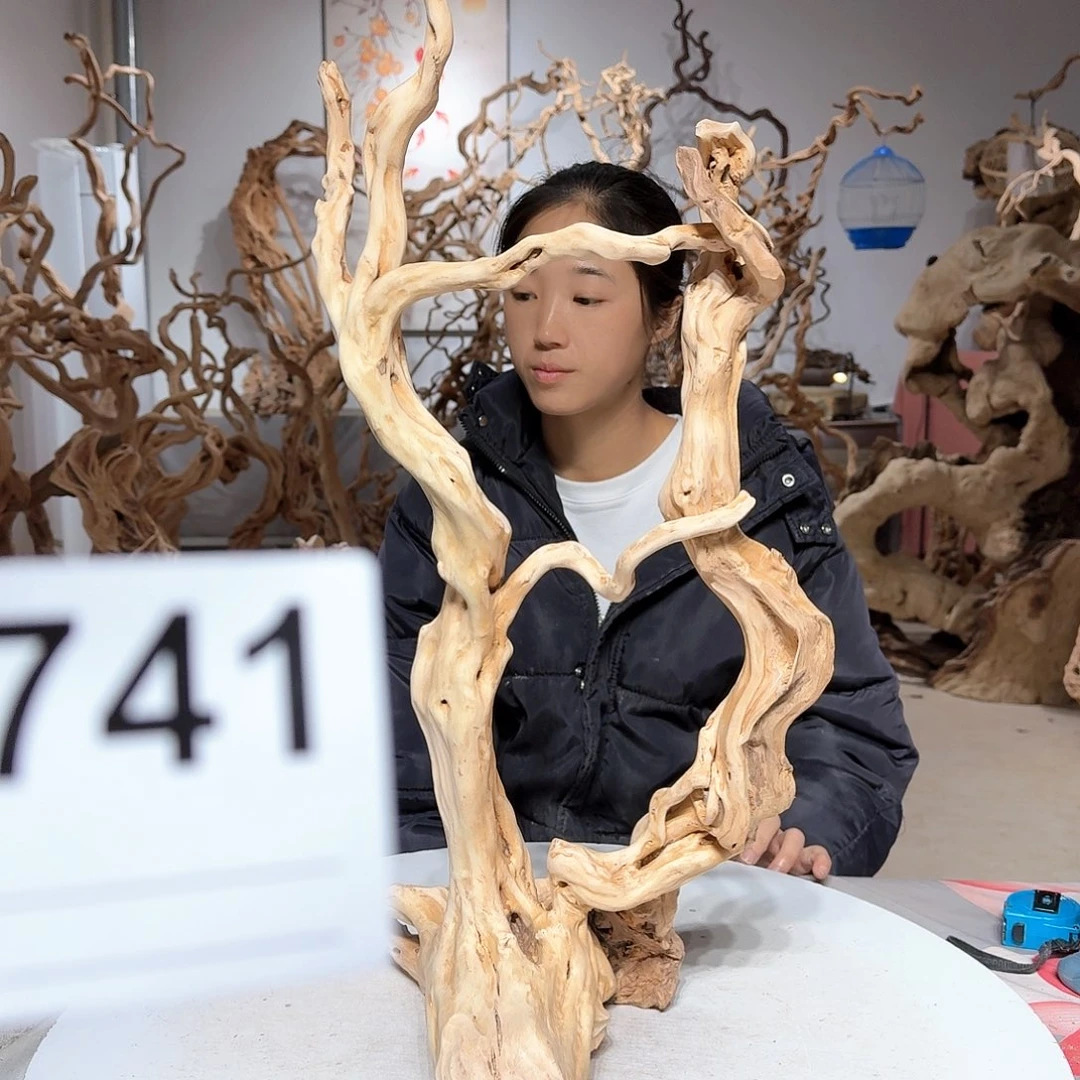 风车木（黑檀木）半****涯