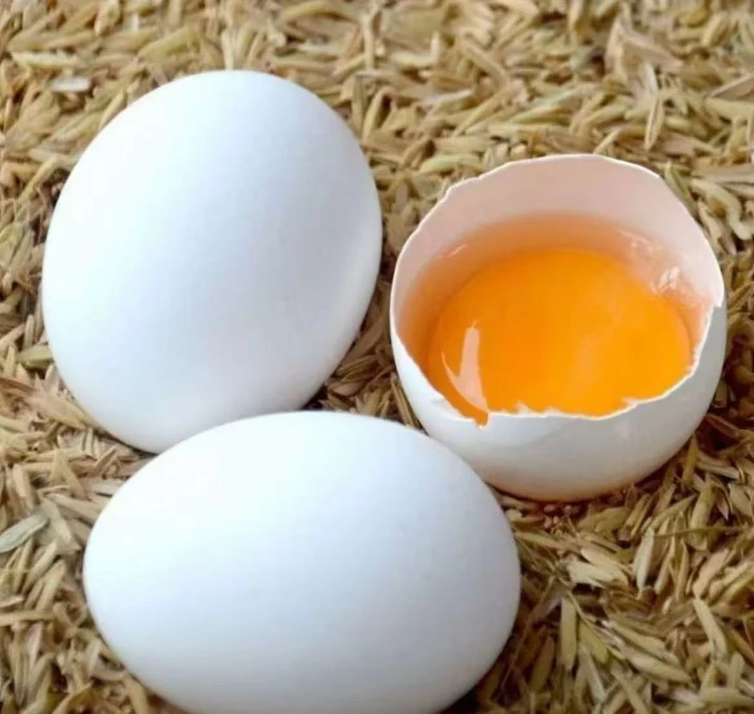 【新品50枚不限量】白凤乌鸡蛋土鸡蛋农家正宗散养现捡现发
