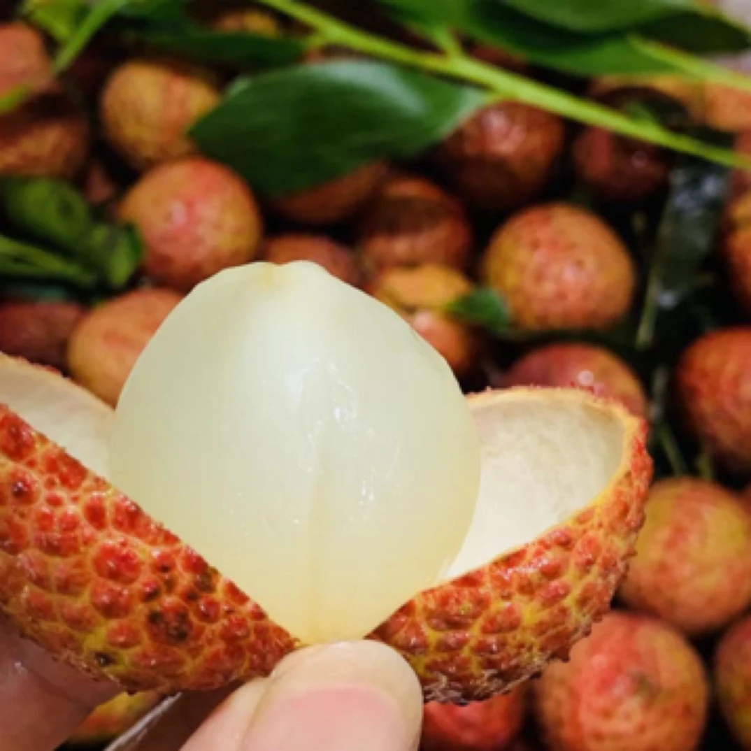 海南白糖罂荔枝两斤海南省