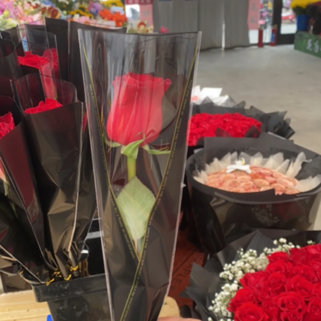 （浩晨）单只高原红玫瑰10支