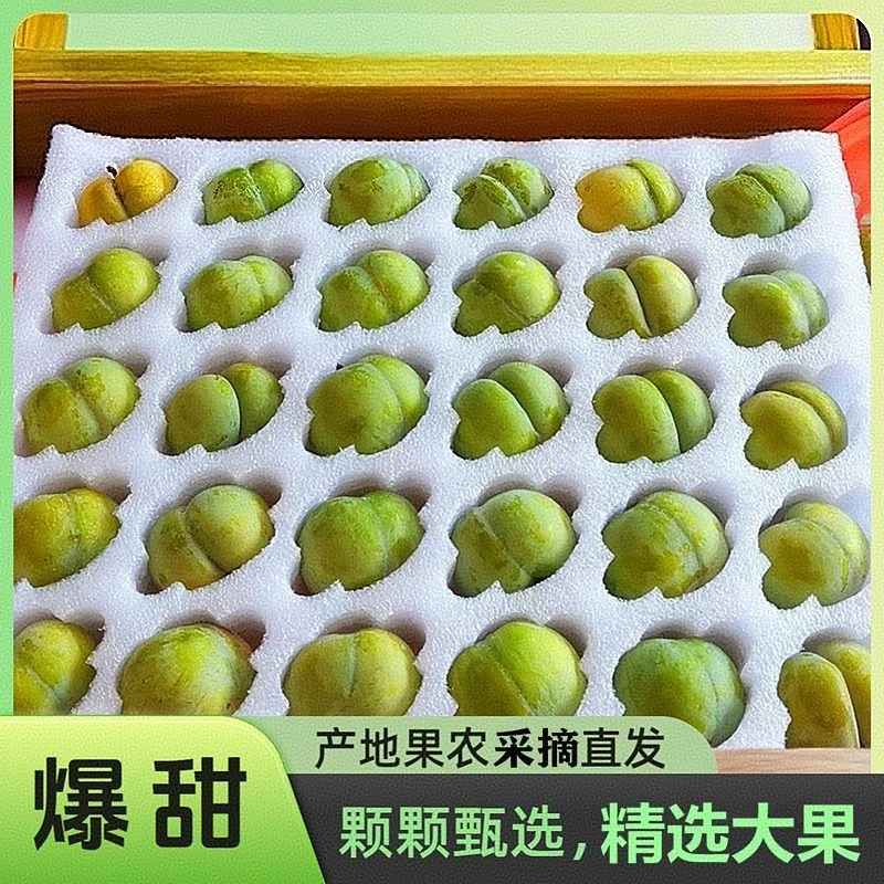 (顺丰包邮）礼盒装新鲜贵阳蜂糖李正宗脱骨李纯甜