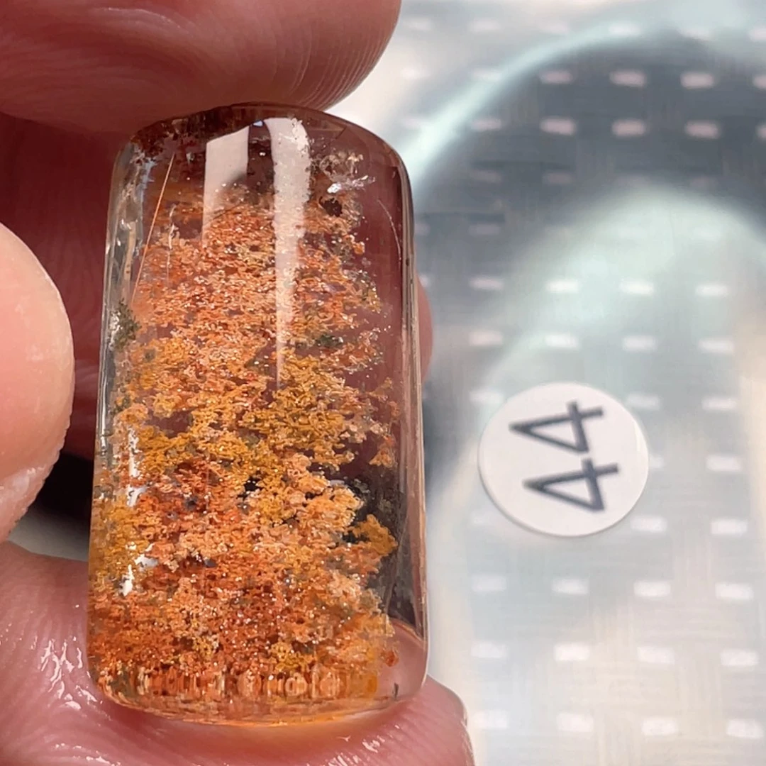 【闪购商品】颈饰未镶嵌水晶h*y