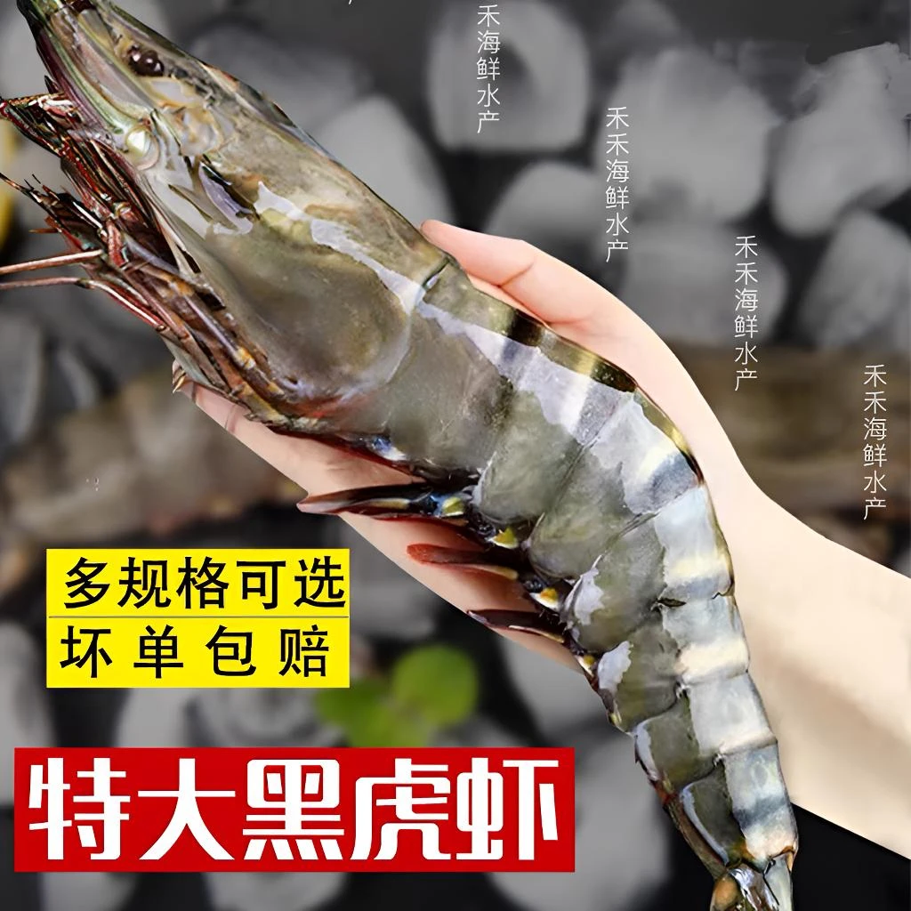 新鲜海捕活冻越南超大号黑虎虾水冻锁鲜九节虾斑节虾大虾