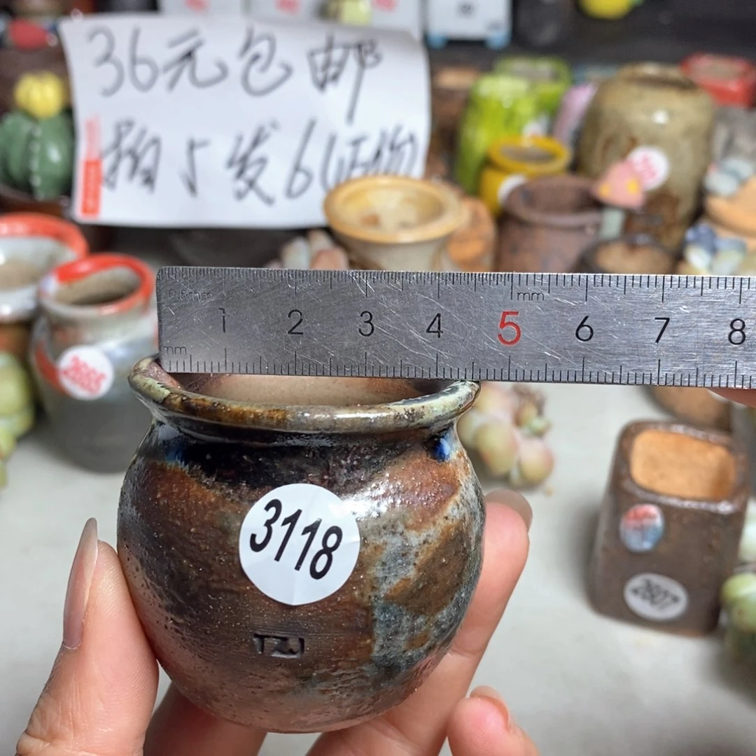 拍5送一个小礼物