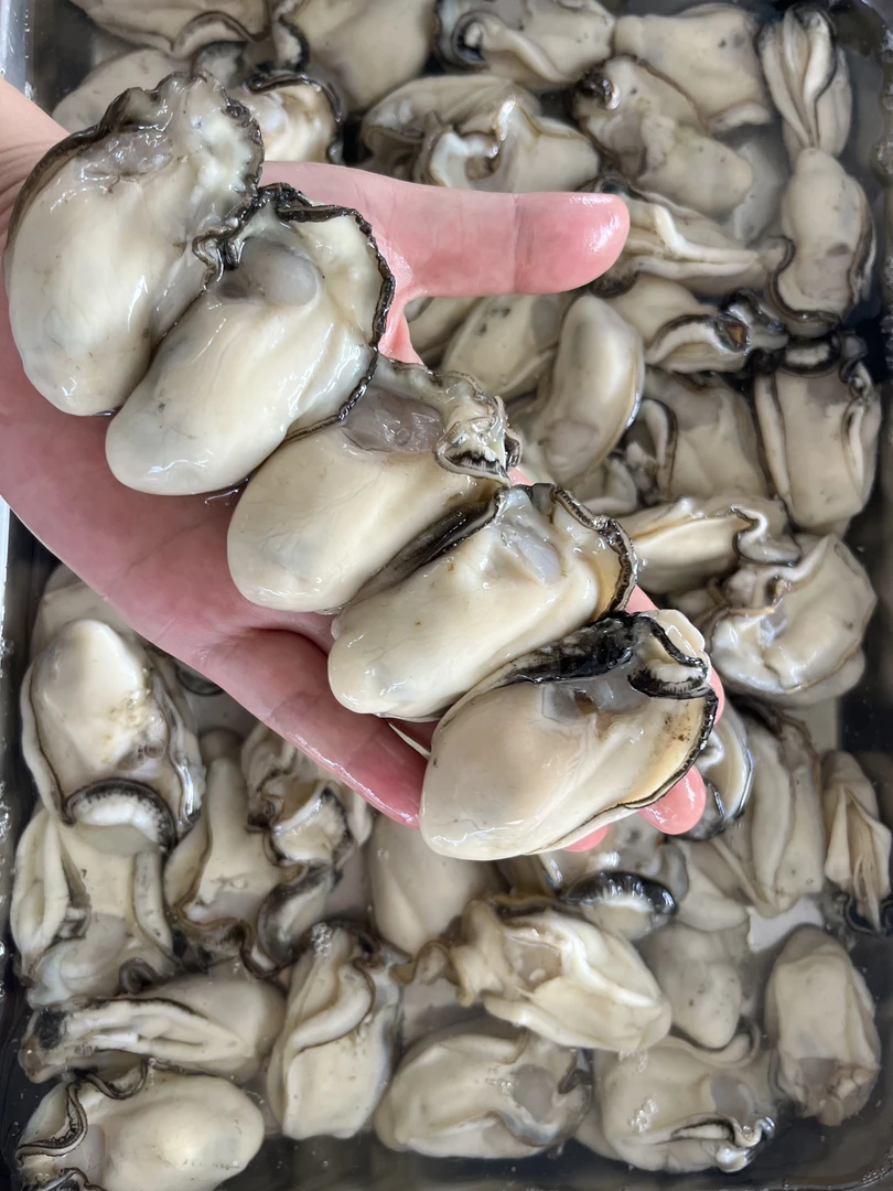 台山本地白肉脆生蚝 蚝仔（25只到30只左右一斤)