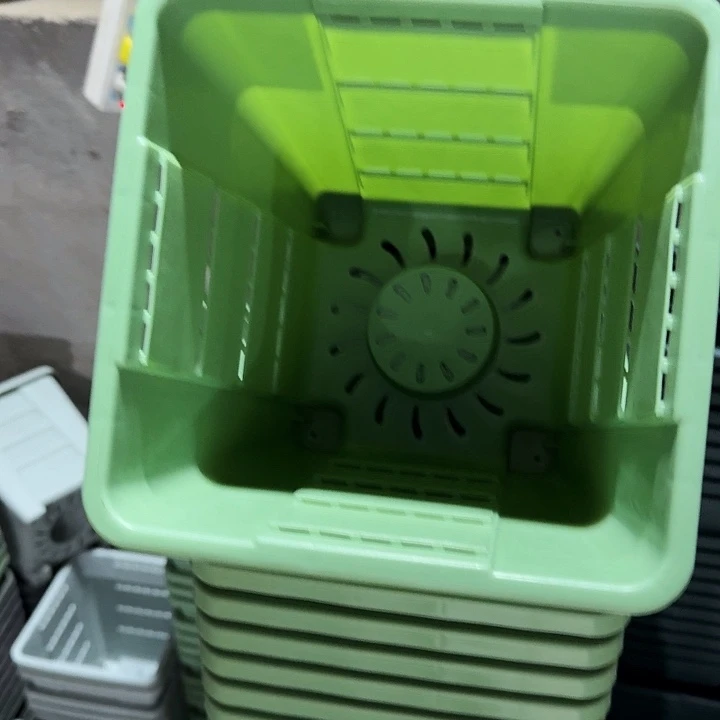 编号201果绿无托10个