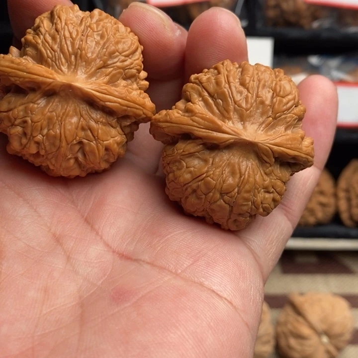 全品血麒麟42尺寸