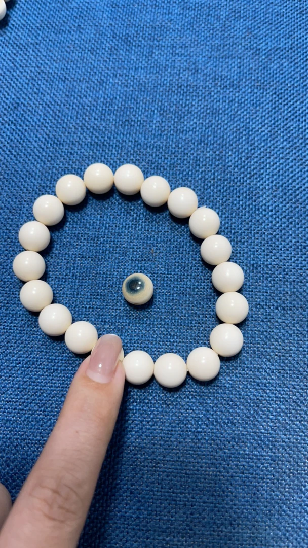 猛犸牙单圈和蓝皮一颗