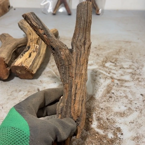 大果紫檀（缅甸花梨）?****?