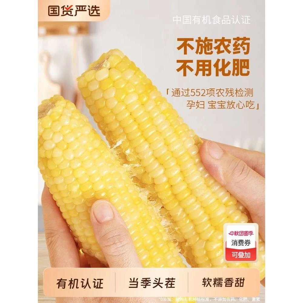 金沃瑞丰有机白糯玉米新鲜棒真空袋早餐速食香甜粗粮非东北粘苞米