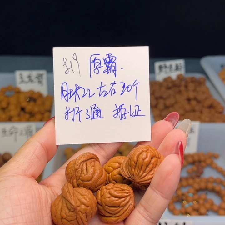 桃核把件霸王龙22尺寸20颗