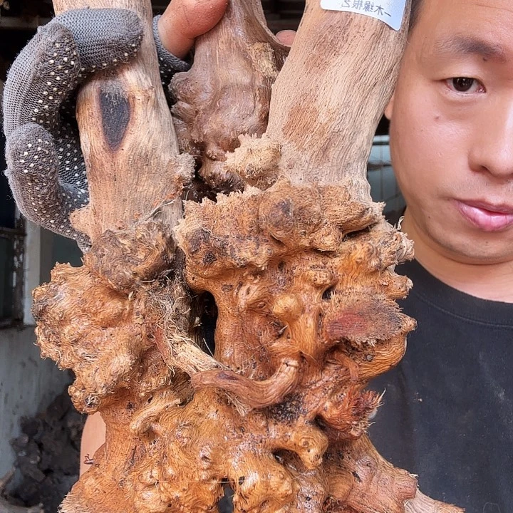 用***6无花朵000000000387