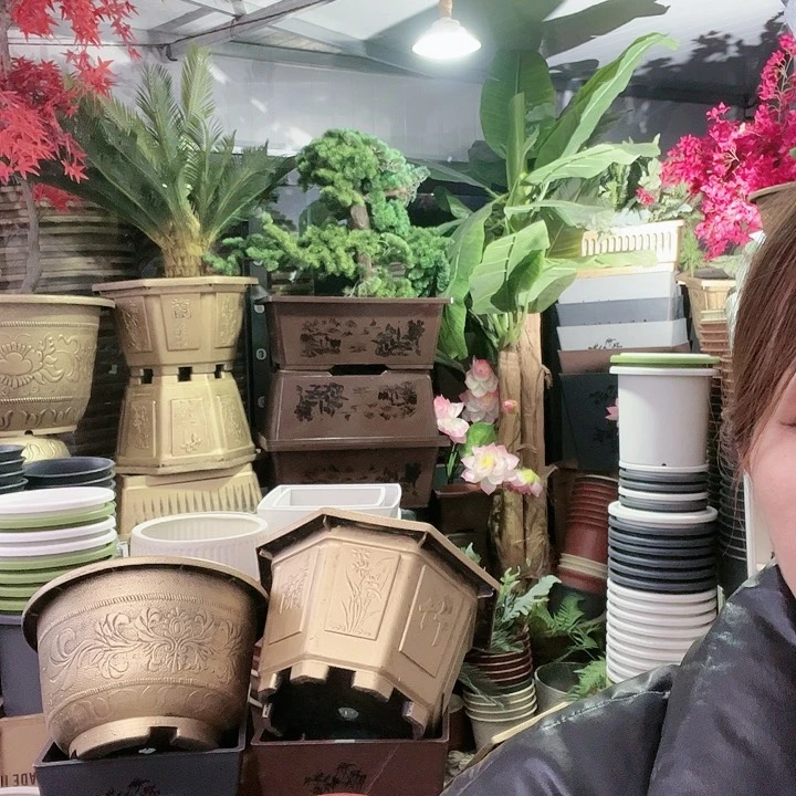 复合盆景8899989996