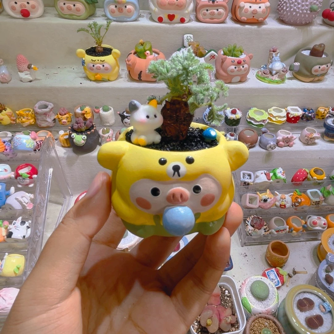 嘿*嘿嘿宝贝专属链接拍拍