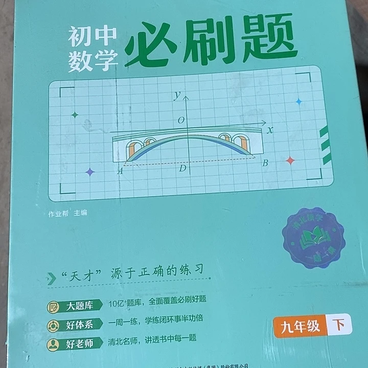 必刷题九年级下册