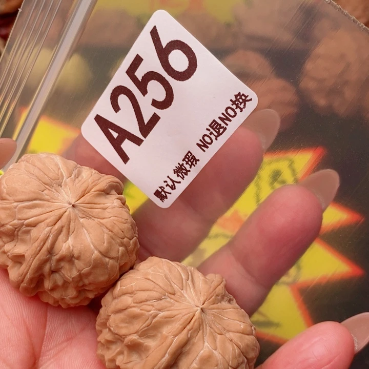 金蟾尊35尺256号瑕疵