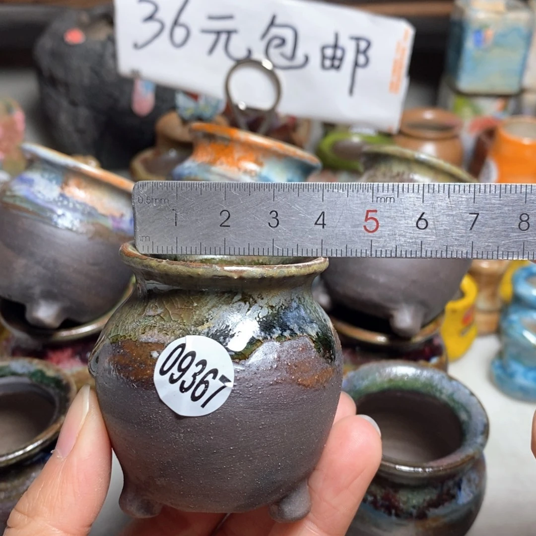拍5送一个小礼物