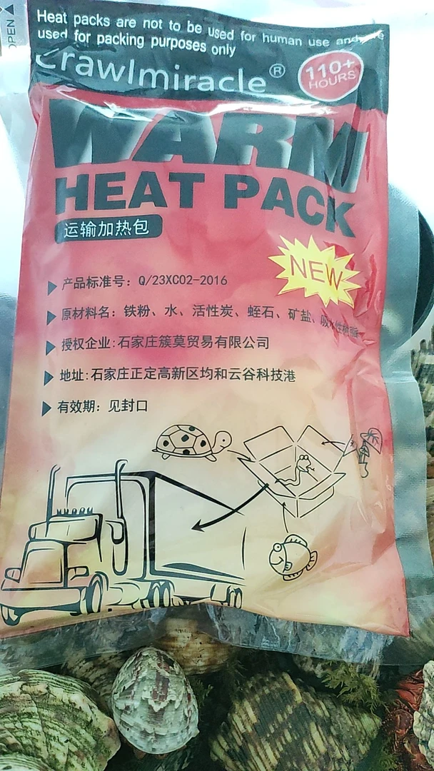 寄居蟹暖宝，寒冷地区需要拍