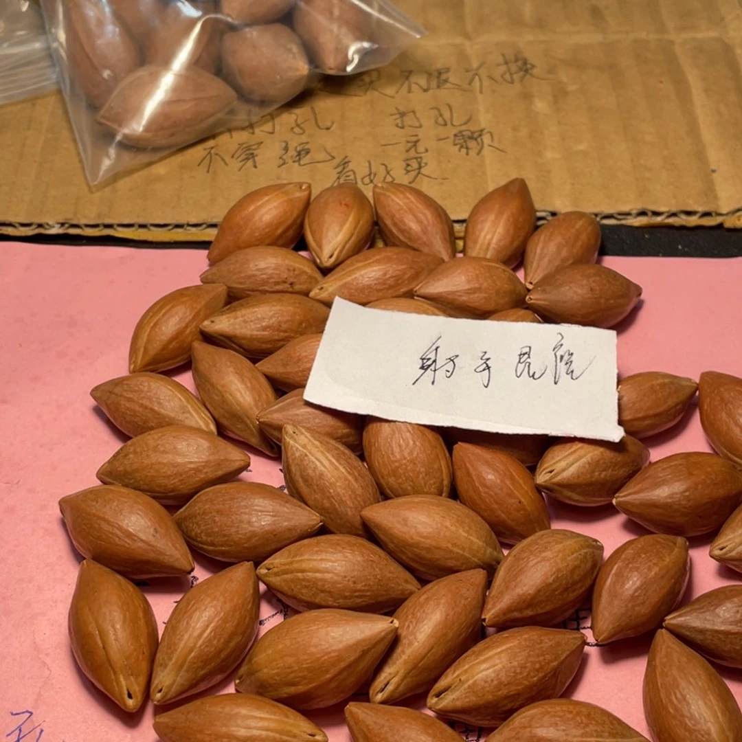 射**座不退不换saassssss