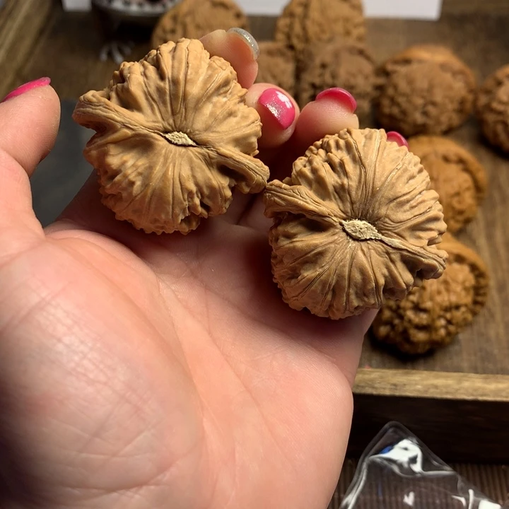文玩核桃吊坠M****s白狮