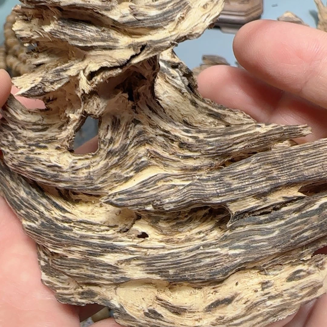 沉香碎屑沉香39.3克香港虎斑奇9分沉根部纽结瘤疤