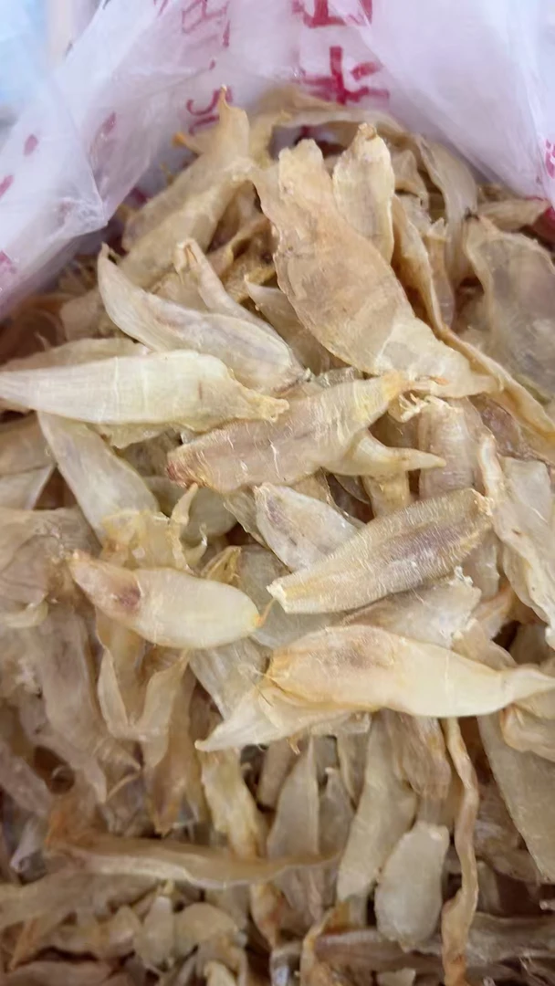 130头小金龙鱼胶