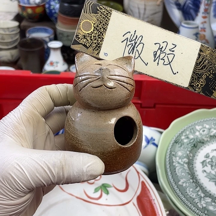 瓷片开播了开播了开播了