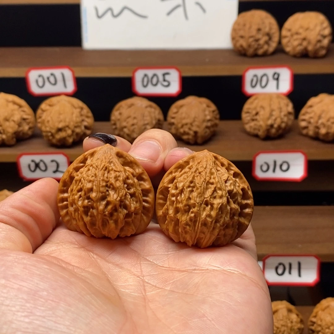 37尺微修金牛008号